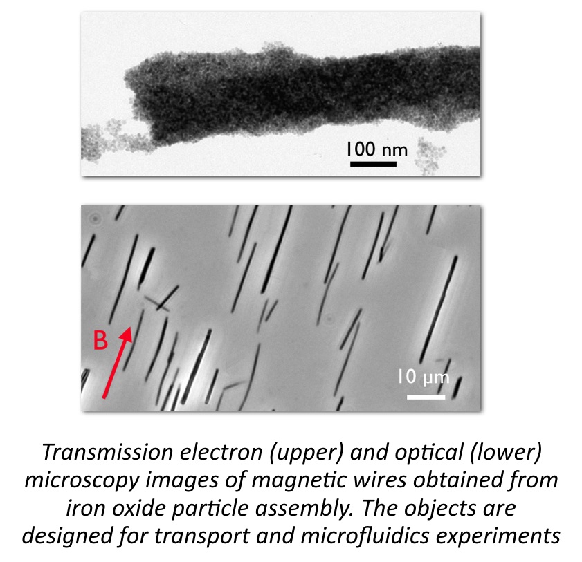 Microscopy images of magnetic wires